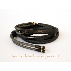 FINAL TOUCH Speaker Ganymede cable