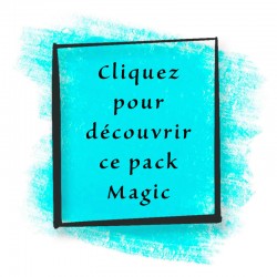 Alimentation Sbooster 12V + Cable L6 Panda